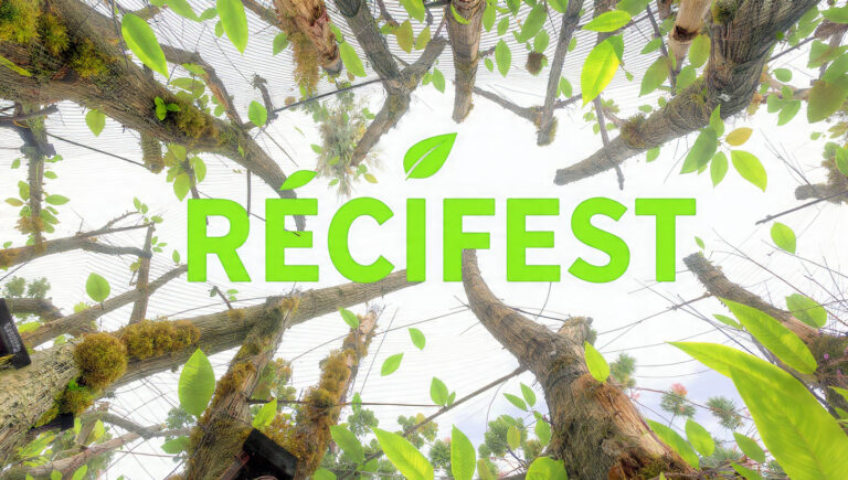Recifest Embracing Renewal for a Sustainable Future: What You Need to Know