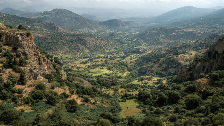 Merfez: A Hidden Secret in the Wilderness